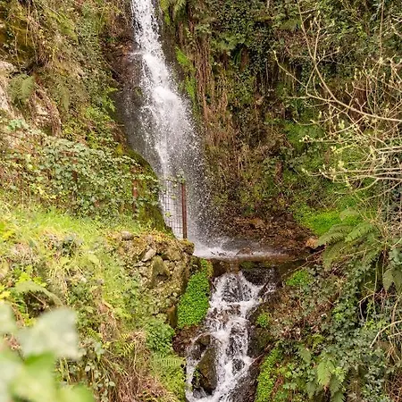 Casas Da Lapa, Nature & 5*