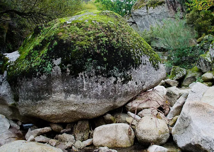 Otel Casas Da Lapa, Nature &